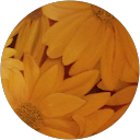 Mariló Alonso G. profile picture